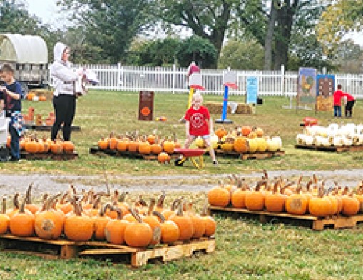 The Pumpkin Festival is filled with family-inclusive, fun, educational activities with no scares. Photo courtesy of Shepherd's Cross.