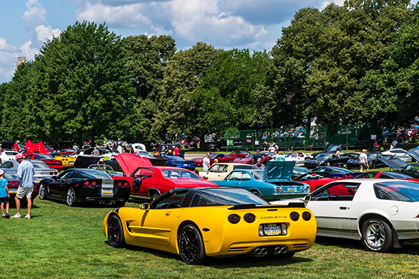 Image of a summer car show