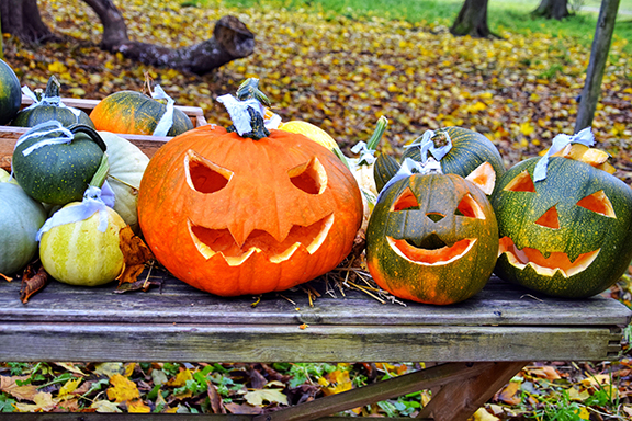 Image of Carved Pumpkins