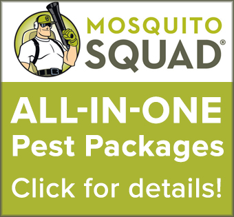 Image of Mosquito Squad Advertisement